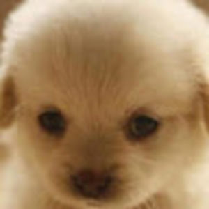 Meet your Posher, Jordyn